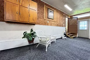 224 W 2nd Pl, Spring Valley, IL 61362 - Photo 23