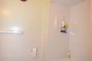 2823 S Farrell St, Chicago, IL 60608 - Photo 13