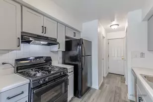 325 Bayview Point, Schaumburg, IL 60194 - Photo 9