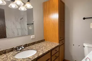 1712 Tina Ln, Flossmoor, IL 60422 - Photo 11