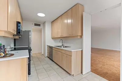 400 E Ohio Street #3004, Chicago, IL 60611 - Photo 21