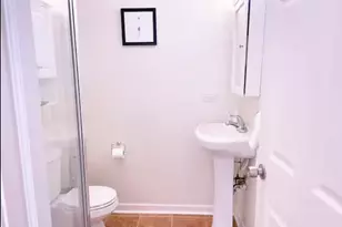 1028 W 20th Pl, Chicago, IL 60608 - Photo 23