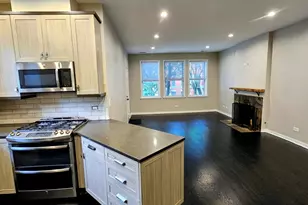 1359 W Fillmore St, Chicago, IL 60607 - Photo 5