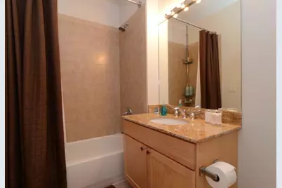 700 N Larrabee Street #1203, Chicago, IL 60654 - Photo 9