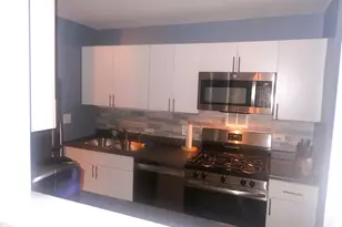 1127 S Old Wilke Rd, Arlington Heights, IL 60005 - Photo 13