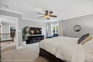 386 Hoyer Ct, Naperville, IL 60565 - Photo 21