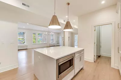 1201 E Madison Park Drive #2, Chicago, IL 60615 - Photo 11