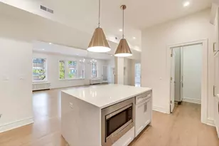 1201 E Madison Park Dr, Chicago, IL 60615 - Photo 11