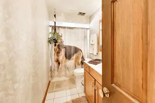 10532 S Sun Valley Ct, Palos Hills, IL 60465 - Photo 31