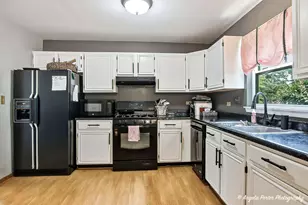8504 Cedar St, Fox Lake, IL 60020 - Photo 3