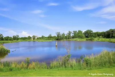 757 Beethoven Street, Volo, IL 60073 - Photo 27