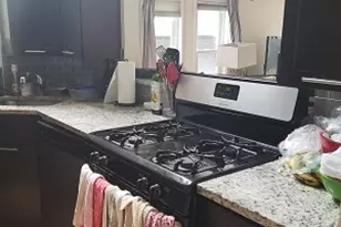 1653 N Halsted St, Chicago, IL 60614 - Photo 59