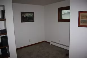 25057 W Petite Ave, Antioch, IL 60002 - Photo 13
