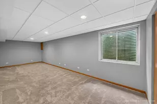 738 Silk Oak Ln, Crystal Lake, IL 60014 - Photo 19