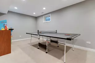 1598 Lois Ann Ln, Naperville, IL 60563 - Photo 23
