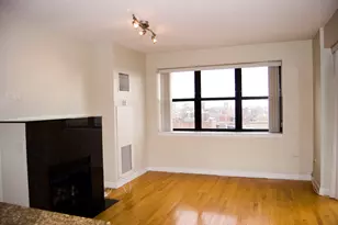 1529 S State St, Chicago, IL 60605 - Photo 3