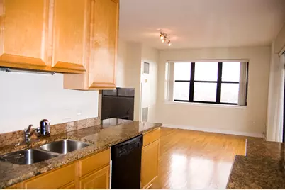 1529 S State Street #13H, Chicago, IL 60605 - Photo 5