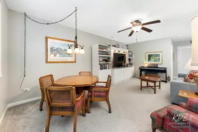 21017 W Hazelnut Lane, Plainfield, IL 60544 - Photo 31