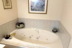 8821 Bluebird Dr, Tinley Park, IL 60487 - Photo 15