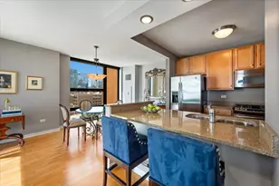 1160 S Michigan Ave, Chicago, IL 60605 - Photo 9