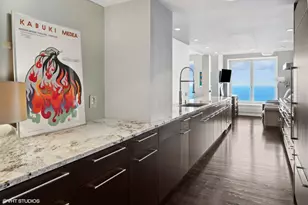 161 E Chicago Ave, Chicago, IL 60611 - Photo 7