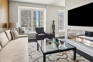 161 E Chicago Ave, Chicago, IL 60611 - Photo 13