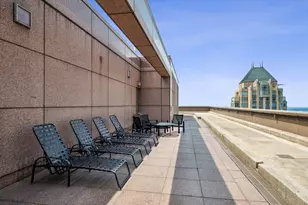 161 E Chicago Ave, Chicago, IL 60611 - Photo 29