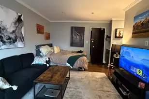 541 W Oakdale Ave, Chicago, IL 60657 - Photo 5