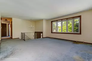 8807 Beechnut Rd, Hickory Hills, IL 60457 - Photo 3
