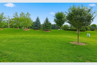 1155 Heritage Court, Pingree Grove, IL 60140 - Photo 21