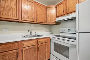 1833 Four Lakes Ave, Lisle, IL 60532 - Photo 9