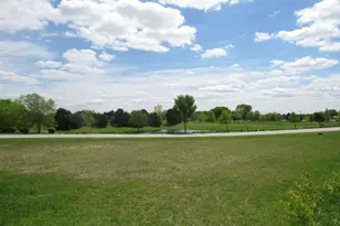 22276 Elise Blvd, Frankfort, IL 60423 - Photo 1