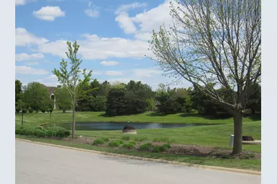 22276 Elise Boulevard, Frankfort, IL 60423 - Photo 3