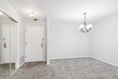 250 W Parliament Place #216, Mount Prospect, IL 60056 - Photo 5