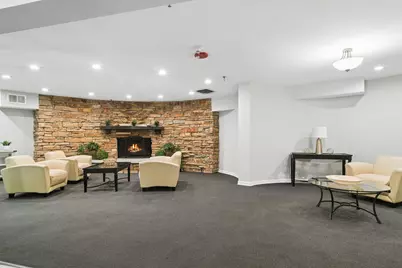 250 W Parliament Place #216, Mount Prospect, IL 60056 - Photo 3