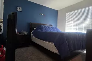 612 Spring Leaf Dr, Joliet, IL 60431 - Photo 29