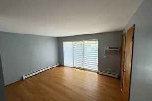 119 Cliff St, Willow Springs, IL 60480 - Photo 5