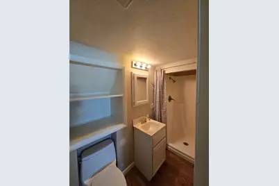 14920 Hamlin Avenue, Midlothian, IL 60445 - Photo 29