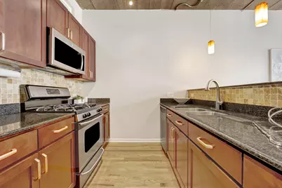 1070 W 15th Street #203, Chicago, IL 60608 - Photo 11