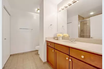1070 W 15th Street #203, Chicago, IL 60608 - Photo 19