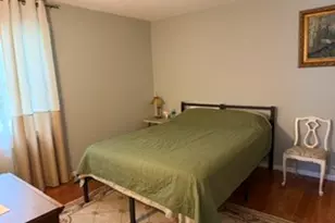 547 Grimes Ave, Naperville, IL 60540 - Photo 19