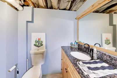 539 W 44th Street, Chicago, IL 60609 - Photo 27