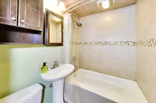539 W 44th St, Chicago, IL 60609 - Photo 19