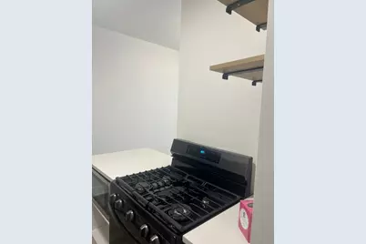 630 N State Street #1901, Chicago, IL 60610 - Photo 7