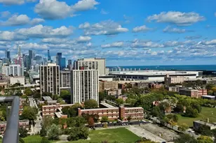 3001 S Michigan Ave, Chicago, IL 60616 - Photo 3
