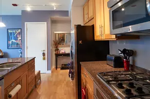 505 N McClurg Ct, Chicago, IL 60611 - Photo 5