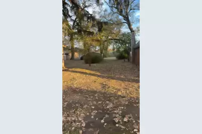 [Address not provided], Cary, IL 60013 - Photo 3