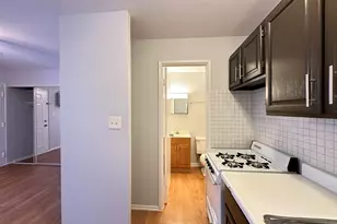 4537 N Dover St, Chicago, IL 60640 - Photo 7