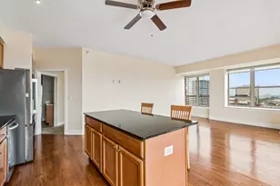 1717 S Prairie Ave, Chicago, IL 60616 - Photo 17