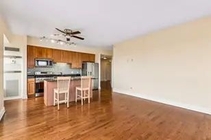 1717 S Prairie Ave, Chicago, IL 60616 - Photo 11
